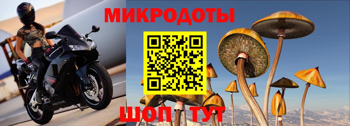 Таганрог  Псилоцибиновые грибы прущие грибы  Вход с VPN 