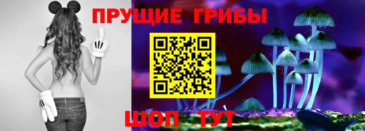 Галлюциногенные грибы прущие грибы Таганрог